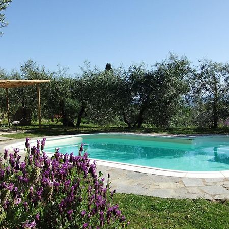 Villa Agriturismo Il Castagnolino San Gimignano Exterior foto