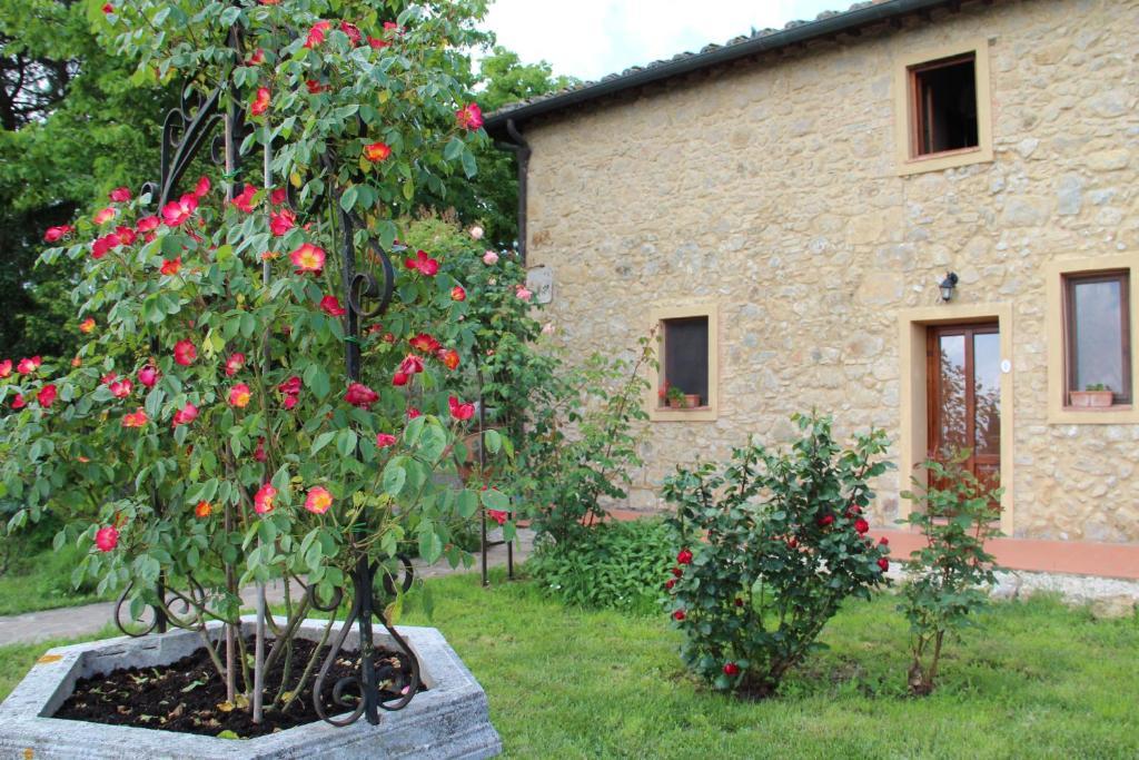 Villa Agriturismo Il Castagnolino San Gimignano Zimmer foto